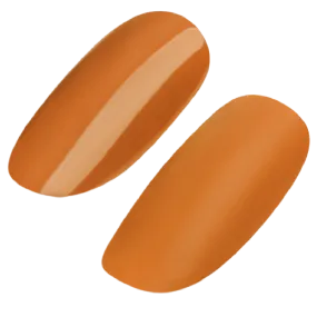 GEL POLISH #200